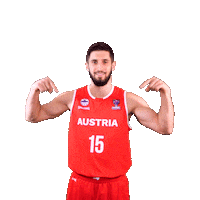 Fiba Teamaustria Sticker by Basketball Superliga
