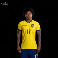 Fifa World Cup Ecuador GIF by Respective