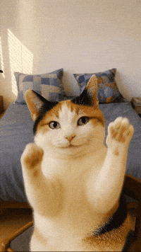 틴더스 GIF