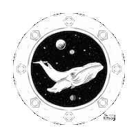 Humpback Whale Hello Sticker