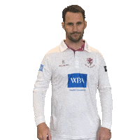 Ball Bat Sticker by Somerset County Cricket Club