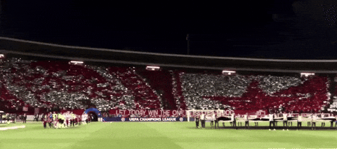 Olympiacos Belgrade GIF