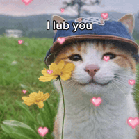 I Love You Hearts GIF by Respective