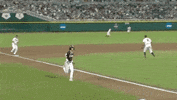 Baseball College GIF by NCAA Championships
