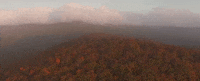alabama GIF
