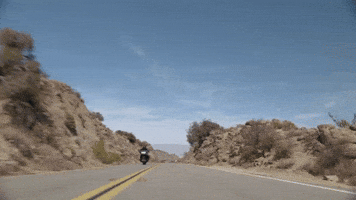 Brand Adventure GIF by Harley-Davidson