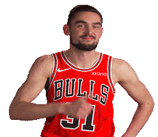 Tomas Satoransky Sticker by Chicago Bulls