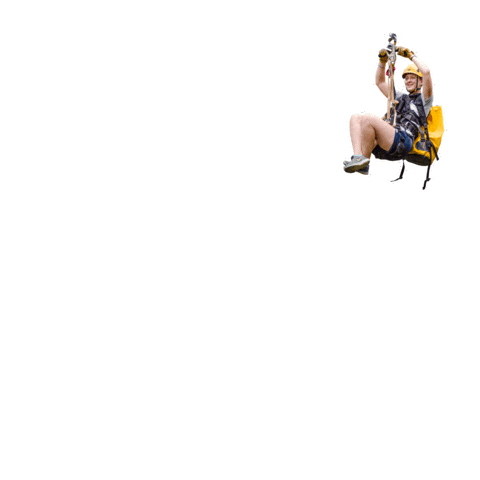 Wvu Mountaineers Sticker by WestVirginiaU