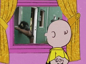 rotflmao GIF