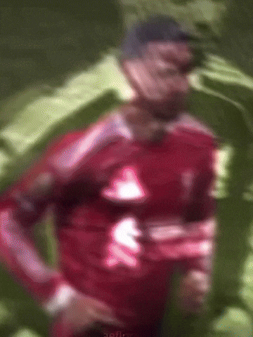 Liverpool Fans GIF