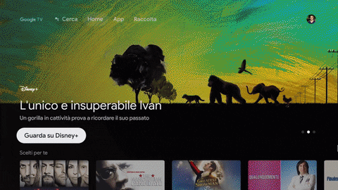 matteovirgilio giphyupload GIF