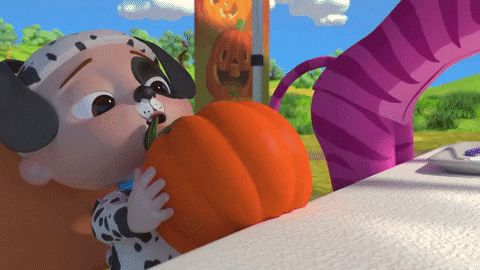 Pumpkin Patch Halloween GIF by moonbug