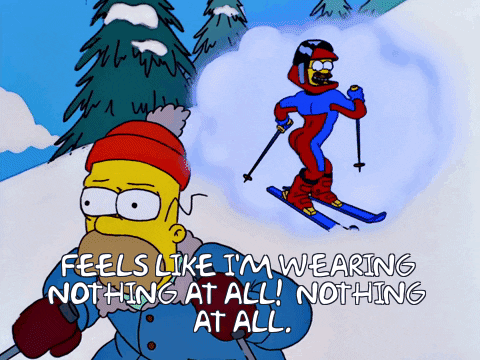 The Simpsons gif. Homer from the Simpsons is skiing down a hill and suddenly thinks about Flanders in his skin tight ski suit. Suddenly, we get a closeup shot of Flanders pert booty in the suit and Flanders says, "Feels like I'm wearing nothing at all! Nothing at all." Homer grimaces hard and says, "Stupid, sexy Flanders!"