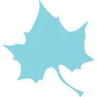 isumarketing leaf sycamores indianastate Sticker