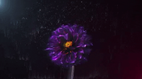 Somebody To Love Flower GIF by OneRepublic