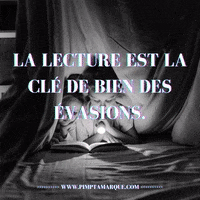 Business Canada GIF by PIMP TA MARQUE