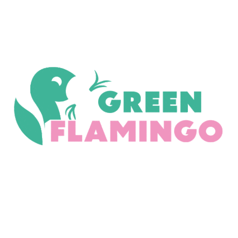 green-flamingo-innsbruck giphyupload greenflamingo green flamingo Sticker
