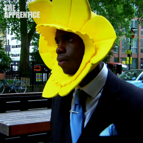 bbc city GIF