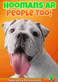 PetJuvenate petjuvenate henlo hooman fren love rescue dogs treatos and woofer for pupper GIF