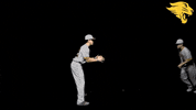 D3B GIF by CUCougars