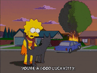 lisa simpson cat GIF