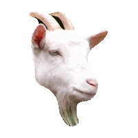 goat STICKER by imoji