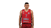Basketball Celebration Sticker by CSKA Moscow