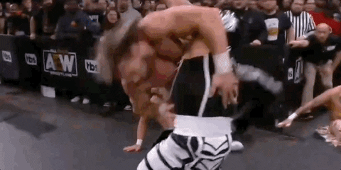 The Elite Wrestling GIF by AEWonTV