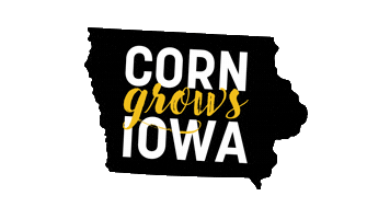 Iowa Hawkeyes Sticker by Iowa Corn