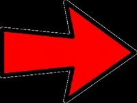 Color Arrow GIF by BORAnaOBRA