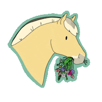 Flowers Horse Sticker by Happy Horsemanship TV