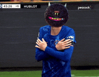 Premier League Football GIF by Bold Art Degens