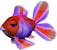 Rainbow Page Sticker