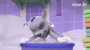 nickjr funny lol jump bath GIF