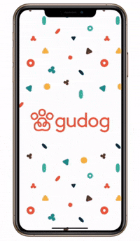 Gudog app howto doggos dogwalking GIF