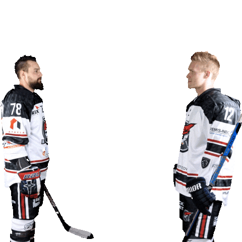 Hokej Mala Sticker by Piráti Chomutov