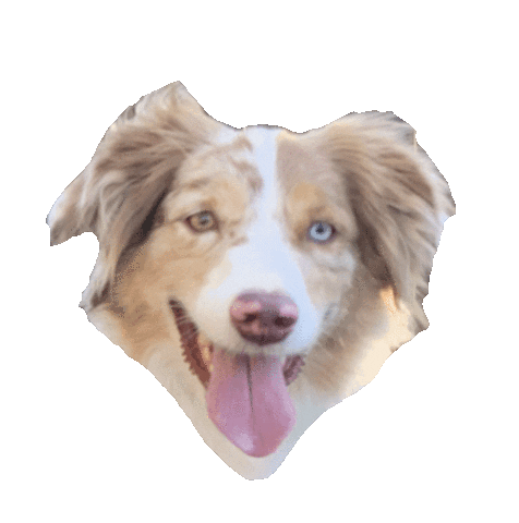 Dog Love Sticker