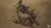 Video Games GIF by The Game Awards