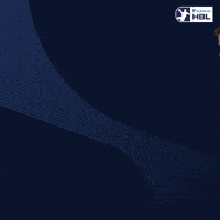Handball Minden GIF by DAIKIN HBL