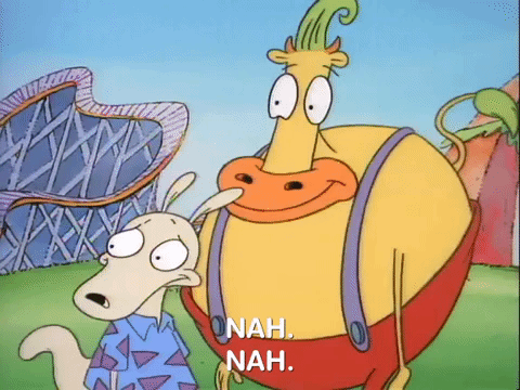 rockos modern life nicksplat GIF