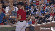 bos GIF by MLB