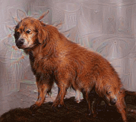dog google GIF by Josh Rigling