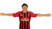 Sc Freiburg Love Sticker by Bundesliga