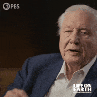 Right On GIF by PBS