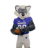 Willie The Wildcat Sticker by Northwestern Alumni Association