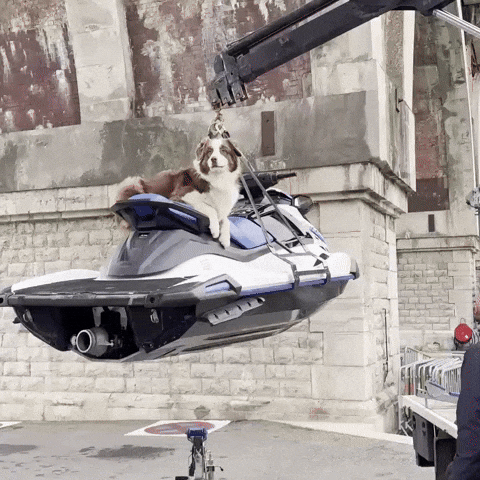 Laviederambo jetski grue bergeraustralien soulever GIF