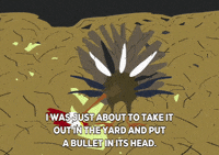 turkey feathers GIF by South Park 