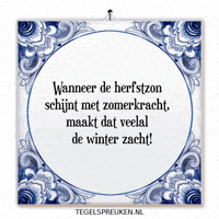 Winter Humor GIF by Tegelspreuken.nl