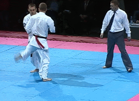 kick karate GIF