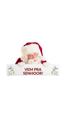Car Noel Sticker by carequinhadasenhoor